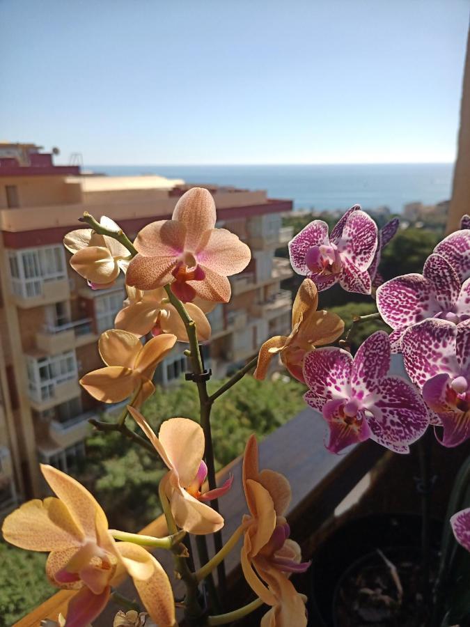 Sweet Home Benalmadena, Estudio Con Vistas Al Mar Y Excelente Conexion Wifi, Para No Fumadores, Con Piscinas, Sea Views, With Swimming Pools, Completely Renovated, Ideal For Older People, Bright With Morning Sun, No Smoking Bagian luar foto